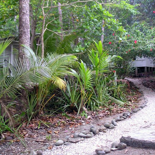 Nicolas Wessberg Absolute Natural Reserve