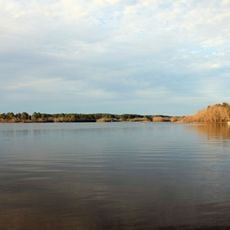 Reed Bingham State Park