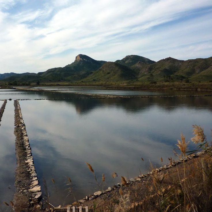 Calblanque Natural Area