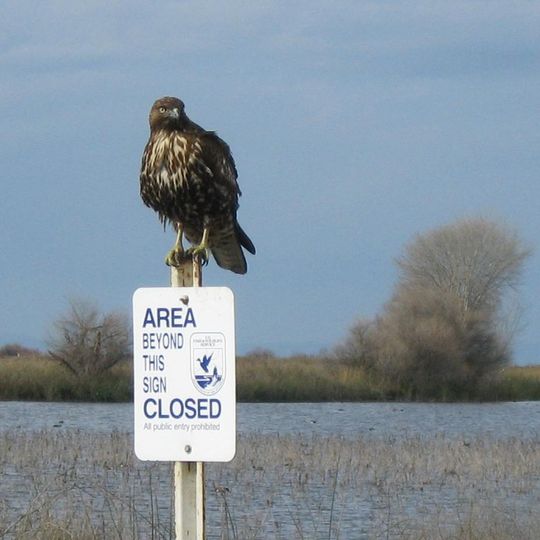 Kern National Wildlife Refuge