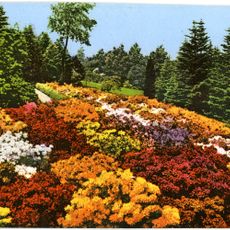 Hutberg (Sachgesamtheit); Rhododendronpark Am Hutberg 23, 25, 27, 29