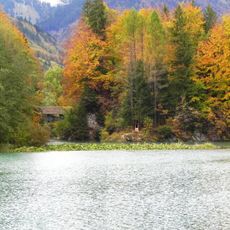 Pont couvert (1667) sur la Sarine