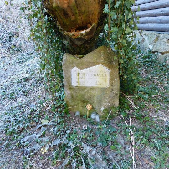 Pomníček Petra Musila v údolí Brtnice