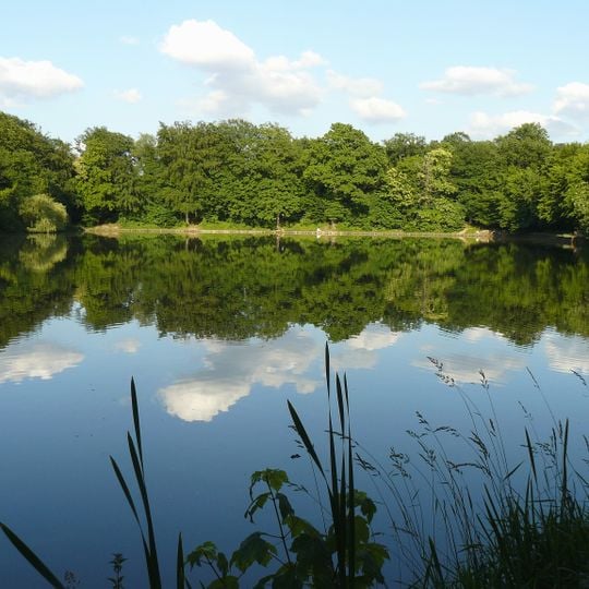 Meudon's forest