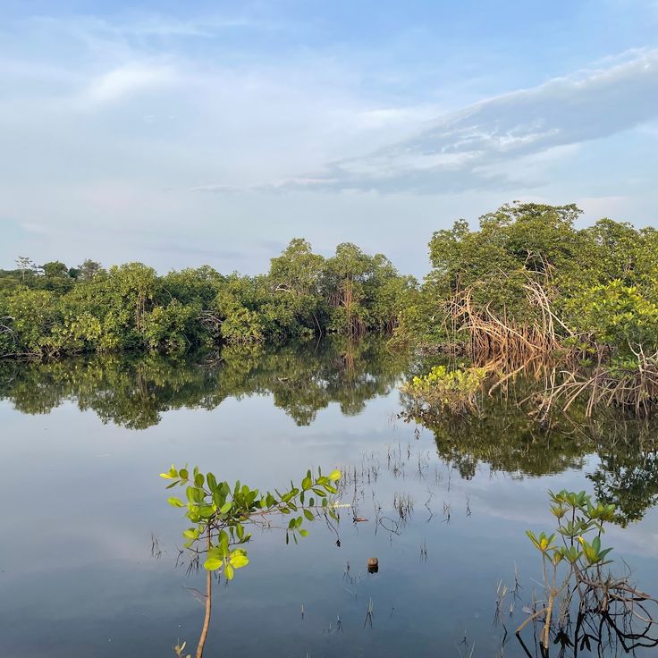 Parque Nacional Akanda