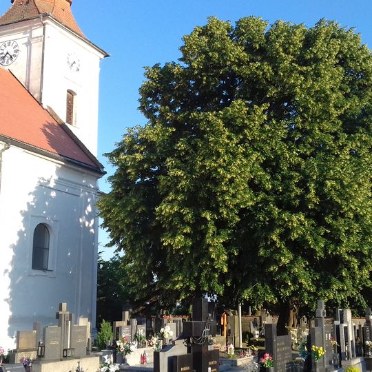 Lípa u kostela sv. Anny v Bořeticích