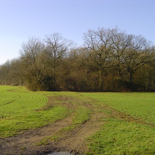 Frithy and Chadacre Woods