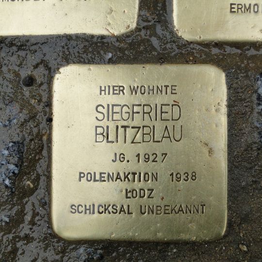 Stolperstein dedicated to Siegfried Blitzblau