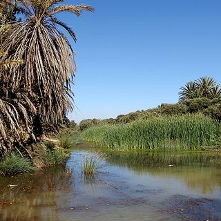 Oasenkette von Tighmert, Prä-Sahara-Region von Wad Noun