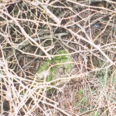 Milestone, Whiteoak Green; on bend between Wood Farm & New Found Out Farm
