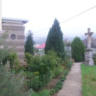 Kostol sv. Alžbety so záhradou, záhrada