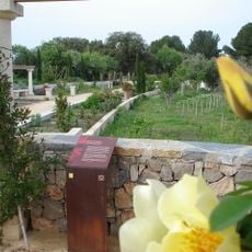 Jardin antique méditerranéen