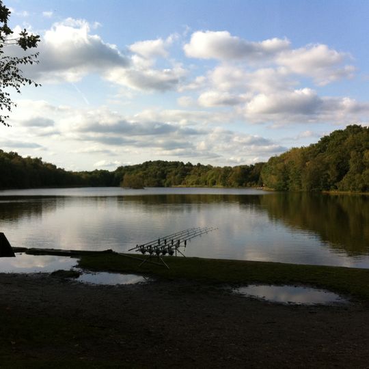 Medieval deerpark and other archaeological remains in Sutton Park