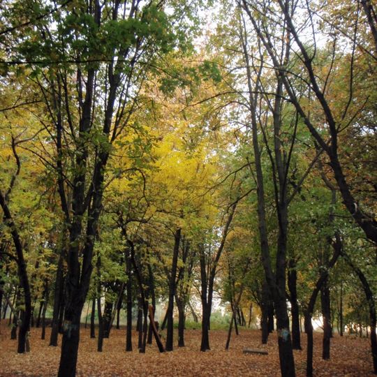 Карповський сад