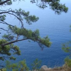 Butterfly Valley