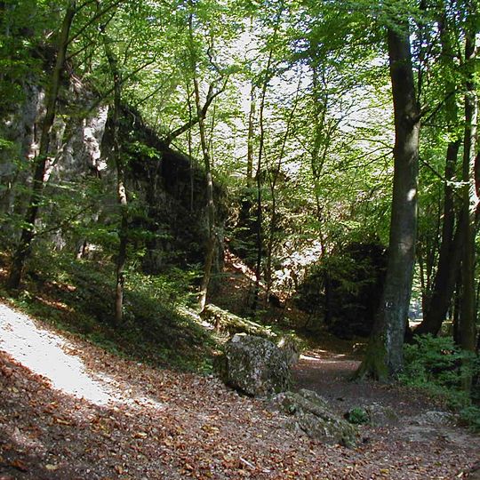 Magas-bakonyi Tájvédelmi Körzet