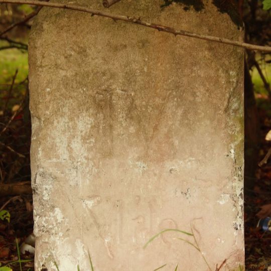 Milestone 4, Cambridge to Newmarket