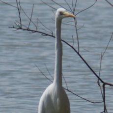 Parco fluviale del Tevere