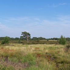 Mechelse Heide