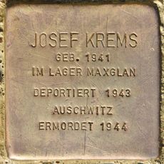 Josef Krems