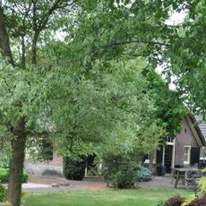 Ganzenebbeweg 6, Vaassen