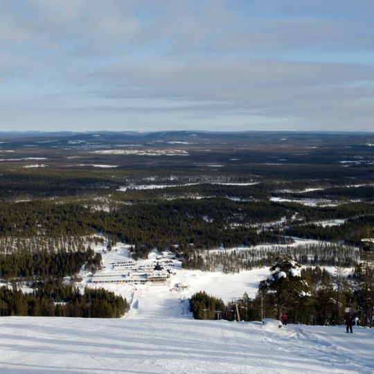 Suomu