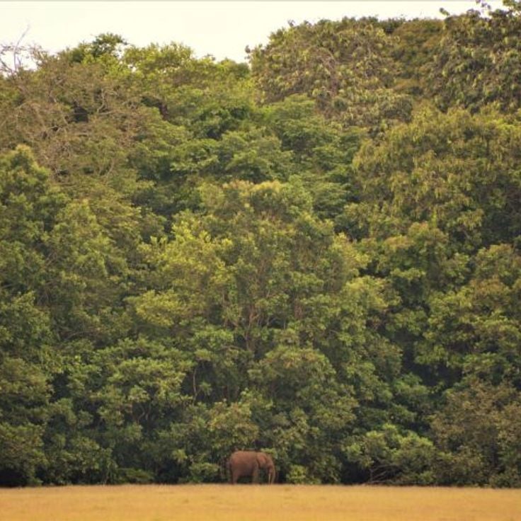 Loango nationalpark
