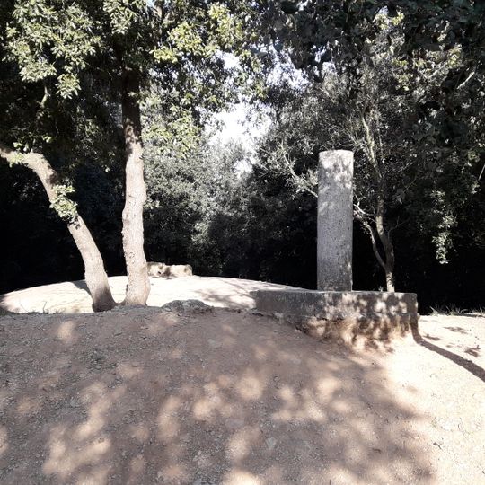 Turó de Can Pasqual