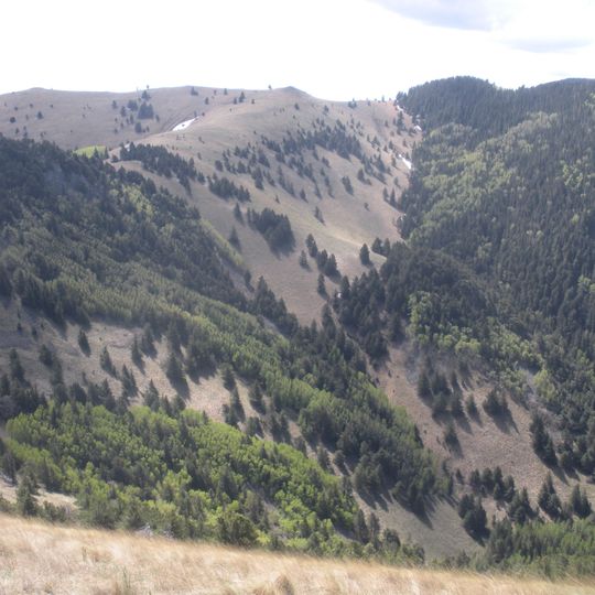 Forêt nationale de Lincoln