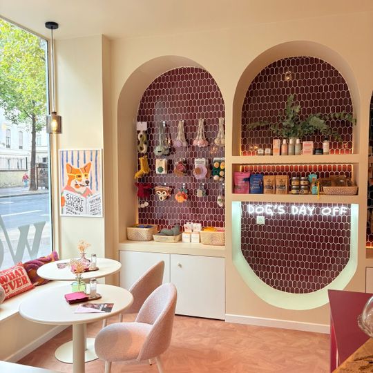 Casa Del Doggo Therapy