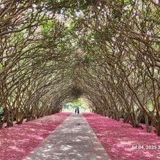 Dallas Arboretum and Botanical Garden