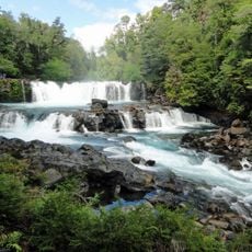 Huilo-Huilo Biological Reserve
