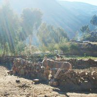 Alonso de Ibáñez Province