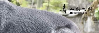 Shou Shan Zoo Profile Cover