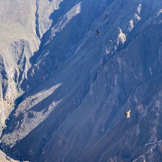 Mirador Cruz del Condor