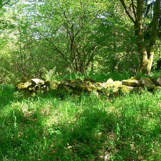 Turmburg Alt-Berneck