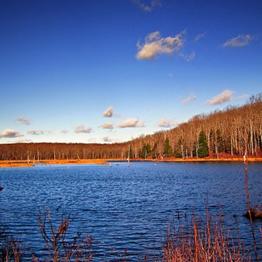 Delaware State Forest