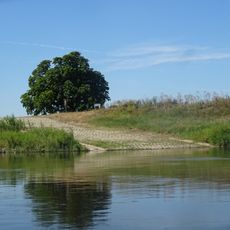 Naturdenkmal Rosskastanie Köttlitz, am Seehaus; Flur 1, Flurstück 21 in Köttlitz
