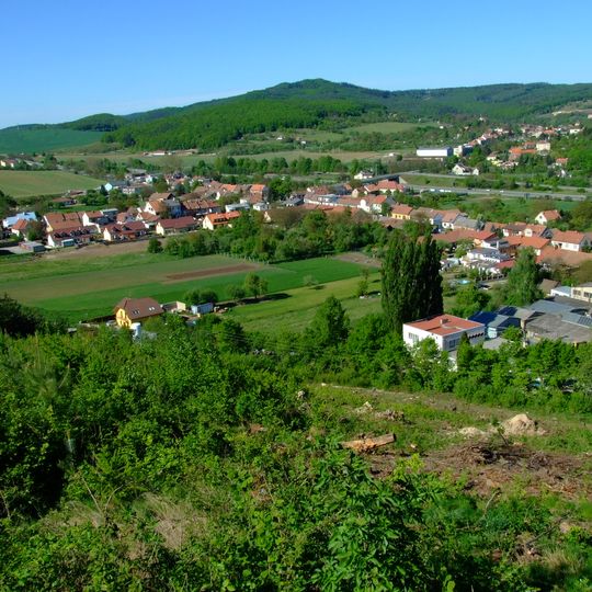 Česká