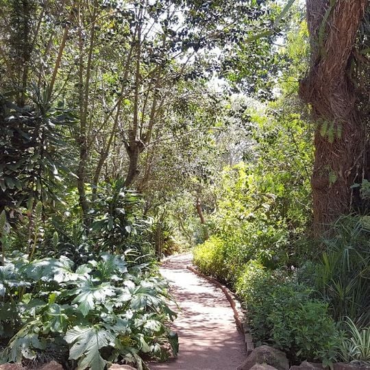 Les Jardins Exotiques de Bouknadel