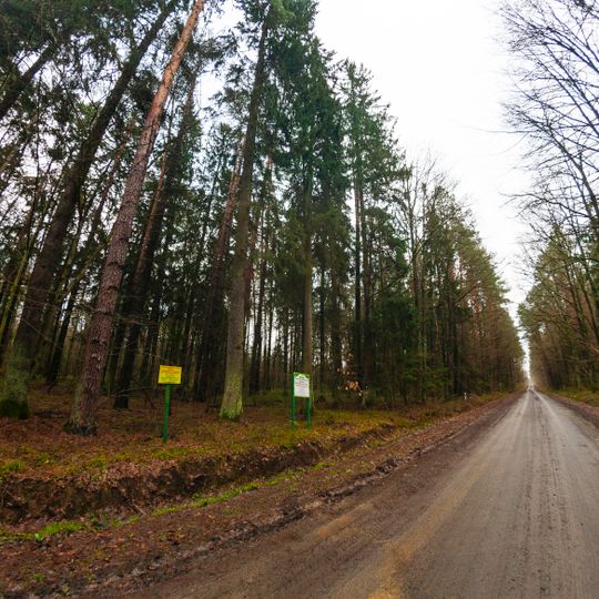Еталонні насадження