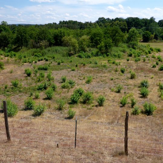 Sandgrube im Dreispitz-Mörsch