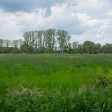 NSG Wischlager Wiesen