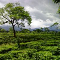 Nagrakata community development block