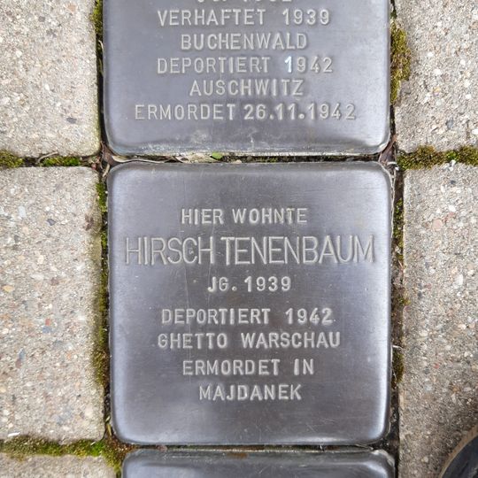 Stolperstein à la mémoire de Hersch Zwi Hermann Tenenbaum