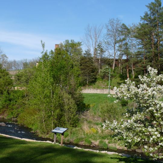 Lodi School Hillside Improvement Site