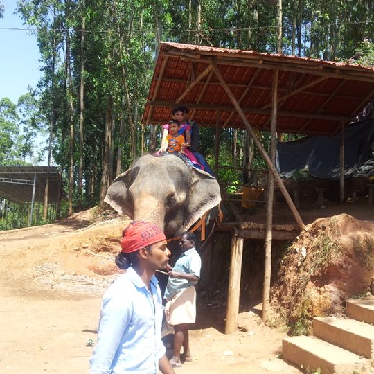 Carmelagiri Elephant Park