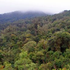 Parque nacional Amboró