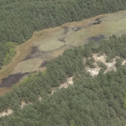 Rezerwat przyrody Piskorzeniec