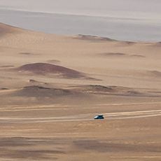 Riserva nazionale di Paracas